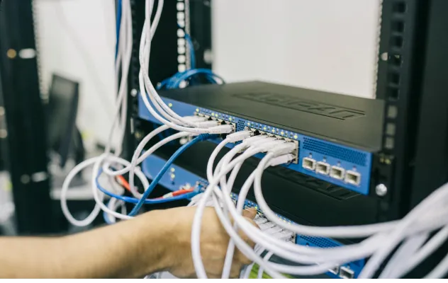 Large networks